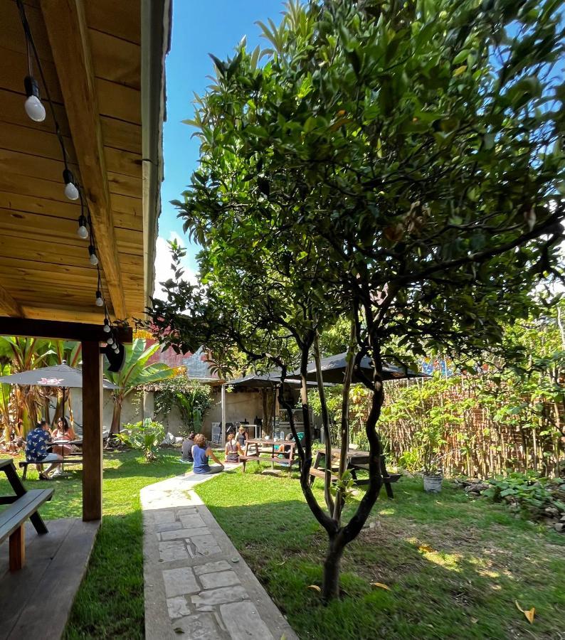 The Coffee Bean Hostel Сан-Крістобаль-де-лас-Касас Екстер'єр фото