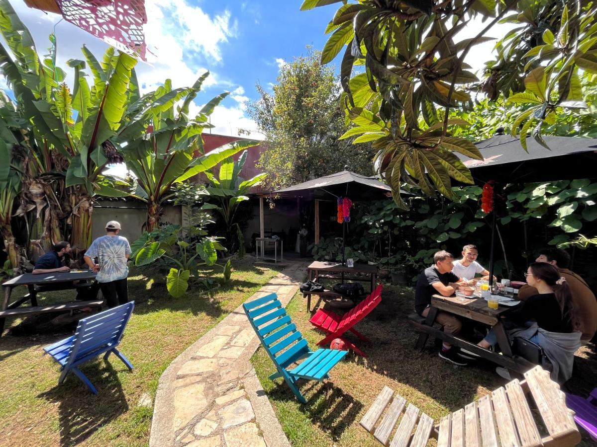 The Coffee Bean Hostel Сан-Крістобаль-де-лас-Касас Екстер'єр фото